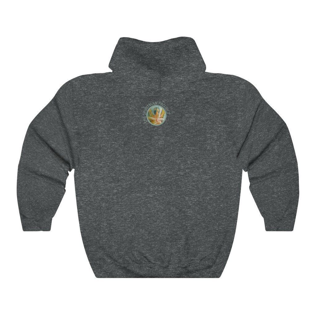 "I am not the enemy" Unisex Heavy Blend™ Hooded Sweatshirt